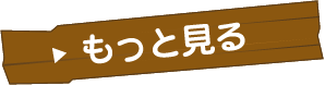 ƌ