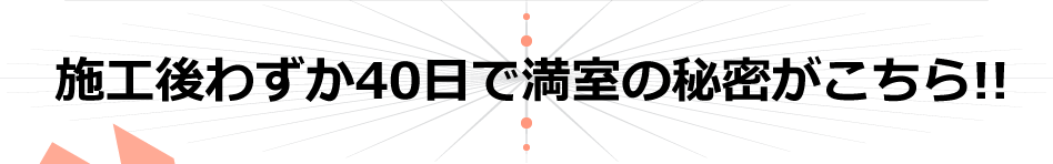 {H킸40Ŗ̔閧!!